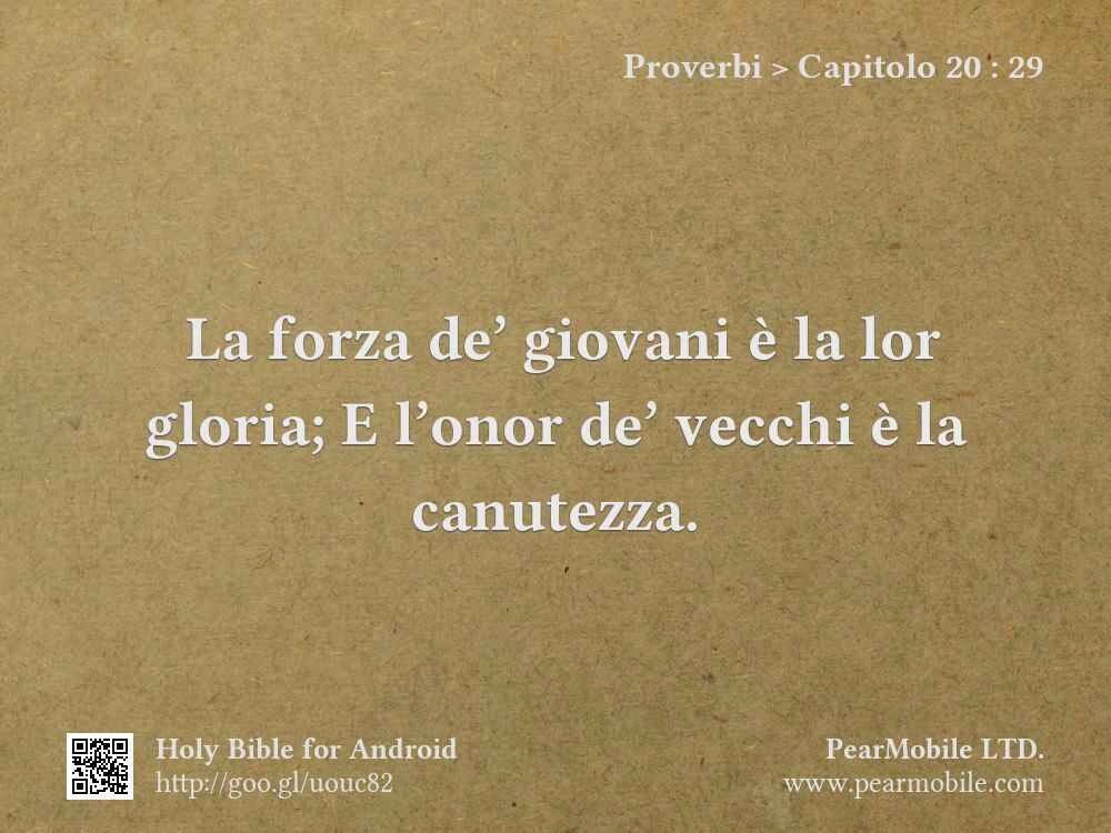 Proverbi, Capitolo 20:29